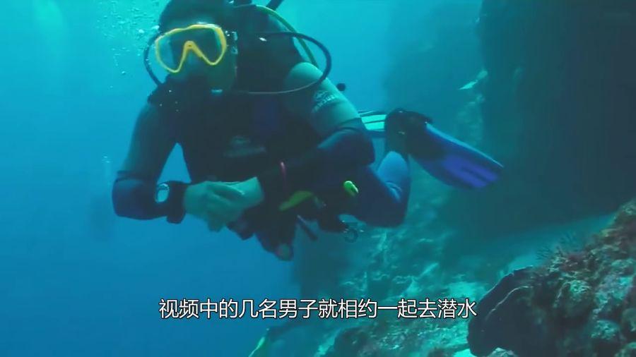 专注你们会强调自己要成为一个'正常人吗?领域的红迪网平台